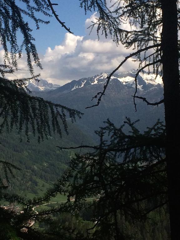 Affittacamere Lago Rotondo Mezzana  Dış mekan fotoğraf
